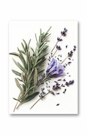 Close-up of dried thyme, rosemary, and lavender herb seasoning on a white background.
