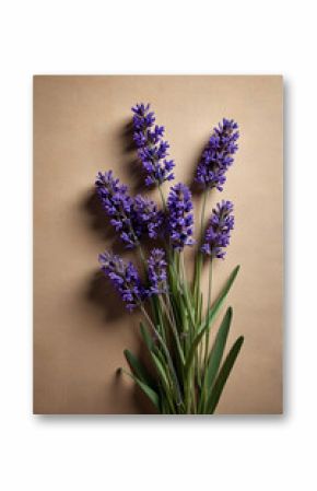 Beautiful Lavender Bouquet on Beige Background.  Floral Still Life.
