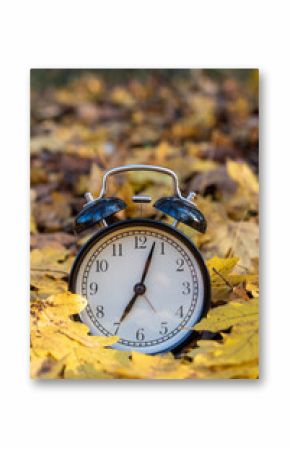 Alarm clock on dry autumn leaves