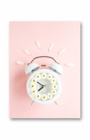 Composition-summer time from clock and chamomile flowers on pink background. Flat lay, top view 