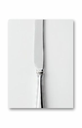 A polished silver butter knife with a rounded handle and a slender blade rests on a plain white background