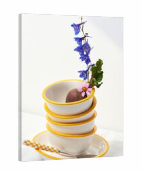 Colorful plates with flowers and beetroot