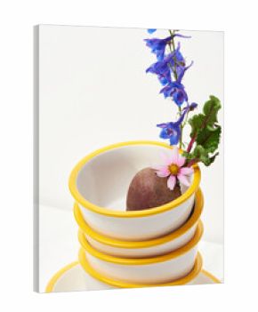 Colorful plates with flowers and beetroot