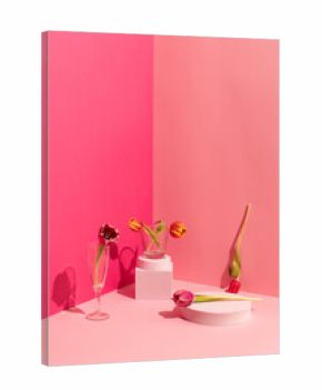 Still life of Spring tulip flowers on pink background and shapes