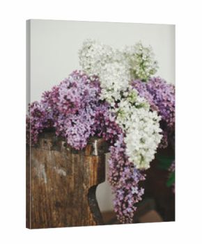 Beautiful lilac flowers on wooden chair. Spring floral still life on rustic background. Purple and white lilacs composition in home. Happy mothers day