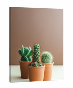 Minimalistic photo of cacti in pots on a colored brown-beige background.