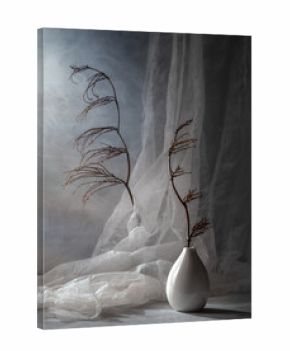 Modern still life with dry branches against a background of flowing fabric