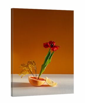Still life, grapefruit with red tulip, yellow flowers, and lemon slice