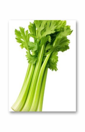 PNG Fresh green celery parsley plant herbs.