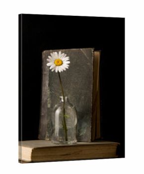 Antique books and daisy