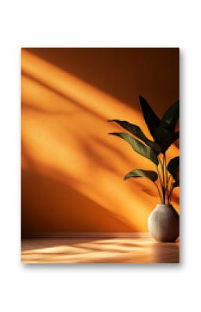 Warm Sunlight Bathes Interior Design With Plant