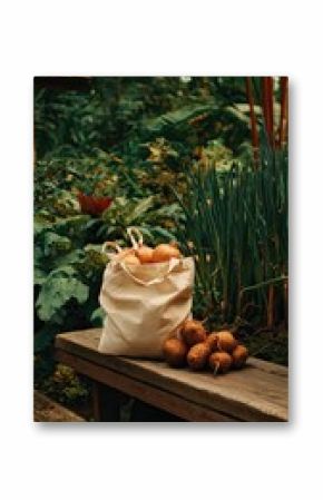 Produce bag on wooden bench in garden