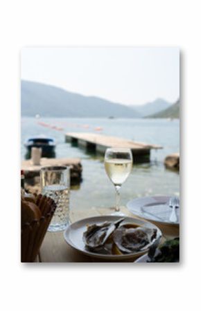 Oysters and White Wine by the Seaside 