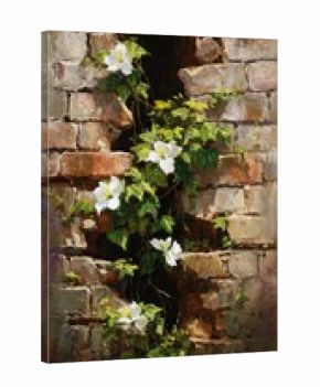 White clematis vines climb through a broken brick wall, sunlight streams through the opening