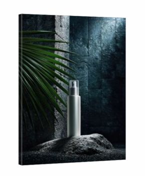 Silver Cosmetic Bottle on Dark Background with Tropical Leaf