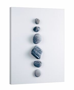 Overhead view of six assorted Stones arranged on a white background