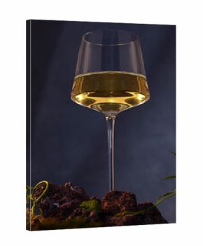 Glass of White Wine