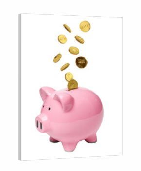 pink piggy bank with falling coins on white background.