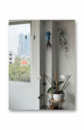 Wall and window with house plants