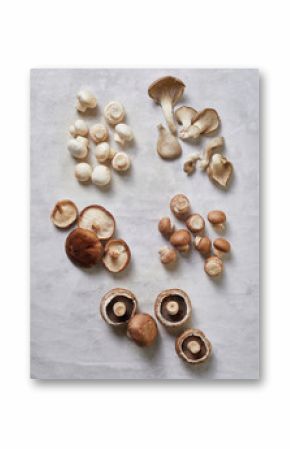 Assorted mushrooms 1