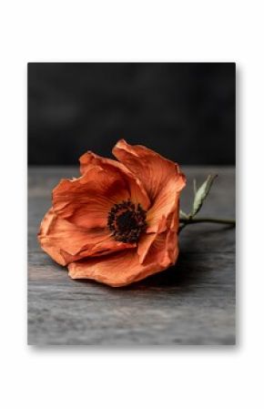 A delicate orange flower rests on a rustic wooden surface, showcasing its intricate petals and vibrant color against a muted background.