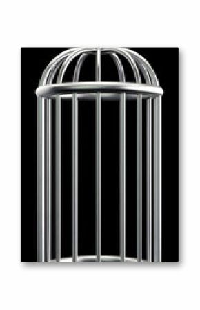 Silver birdcage on a black background