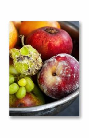 Spoiled Fruit Bowl: A Still Life of Decaying Produce