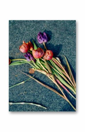 Withered tulips and buds lying on a textured stone surface, casting soft shadows. 