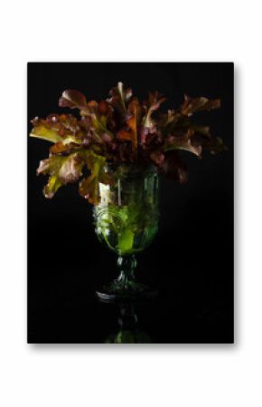 Still life with lettuce leaves in a low key with reflection.