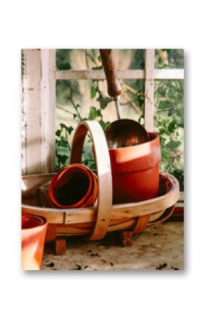 Seed sowing in glasshouse