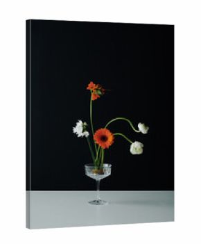 Vertical unusual still life composition of beautiful flowers in coupe glass on gray table surface against black wall background
