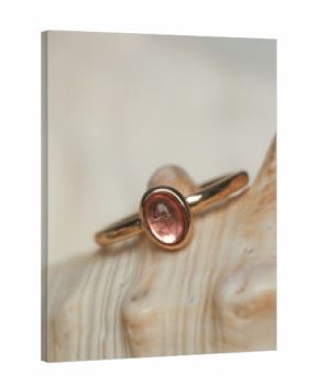 Ring product shot. Golden ring on marine shell background. Jewelry fashion photography. 