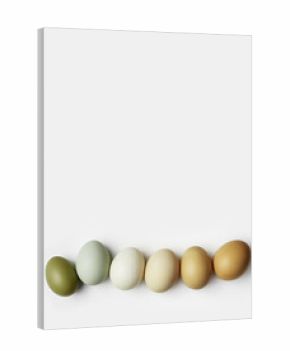 Top view of boiled chicken eggs in row. Minimal style photo made of natural colors eggs on white background. Color gradient olive and brown tones. Healthy protein food concept. Pastel colored