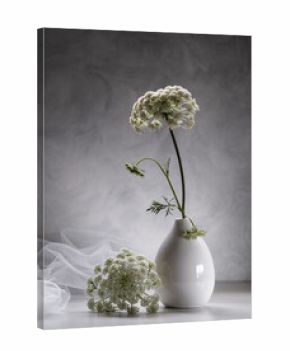 Still life with a carrot flower in a white vase on a gray background