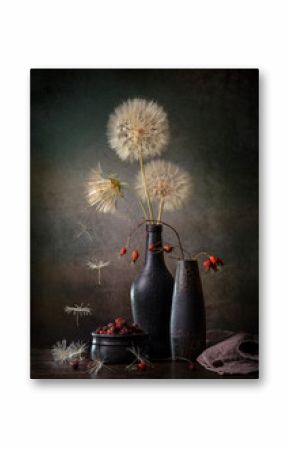 Modern still life with large dandelions in a black vase and dried rose hips on a dark background