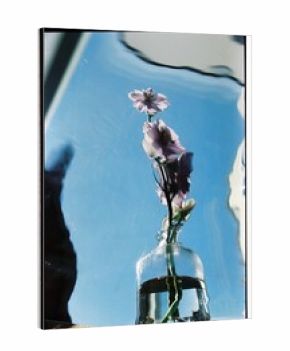 A flower in a vase against the sky.