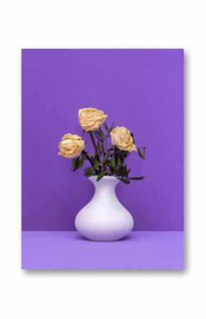 Still life with dried rose in a white vase on a violet background