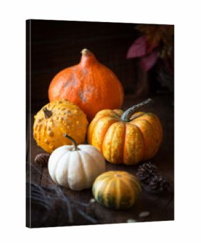 Autumn or fall concept setting with variety of orange pumpkins