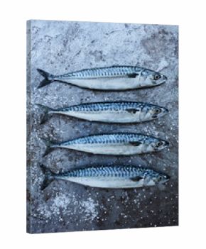 Fresh Mackerel
