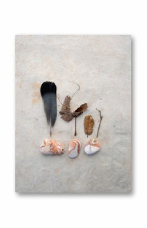 Southwestern sandstone river stones with fallen leaves and a wild bird feather.. 
