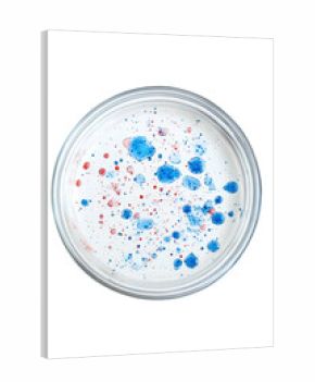 Isolated Petri Dish with Colored Fluids