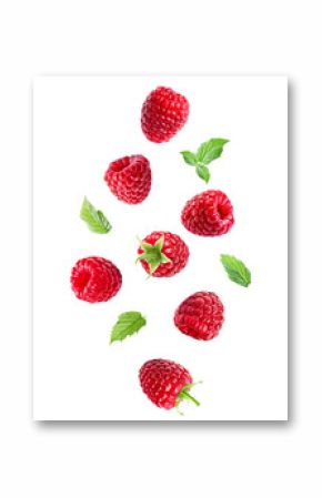 falling raspberries with mint leaves on transparent background.