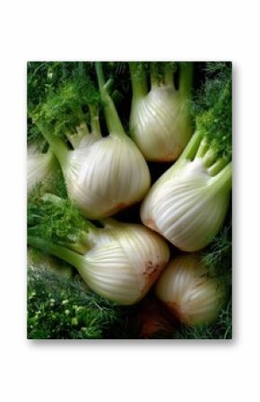 Fresh Fennel Bulbs and Fronds, Showcasing Culinary Ingredient Versatility and Healthy Eating for Food Bloggers and Recipe Developers : Generative AI