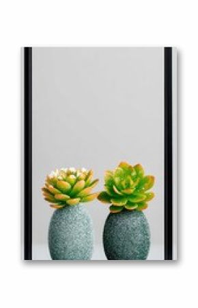 Two Green Succulents in Speckled Pots, Dew Drops, Minimalist Still Life