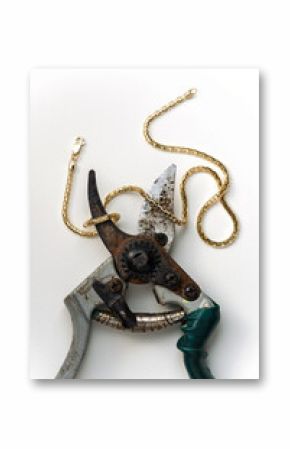 Gold chain wrapped around garden scissors on white background