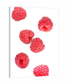 scattering of fresh raspberries on a transparent background