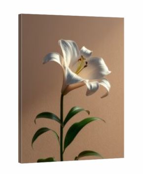 Detailed Close-up of a White Lily on a Beige Background