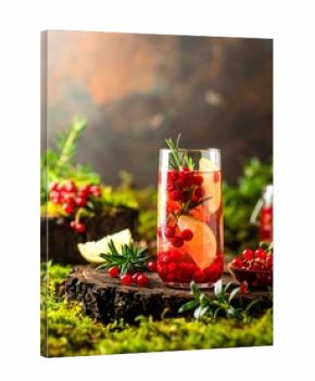 Red berry infused drink on moss