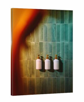 Elegant Shower Setup With Sleek Dispensers in hotel 