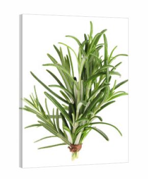 aromatic rosemary bunch tied with twine for fresh flavor